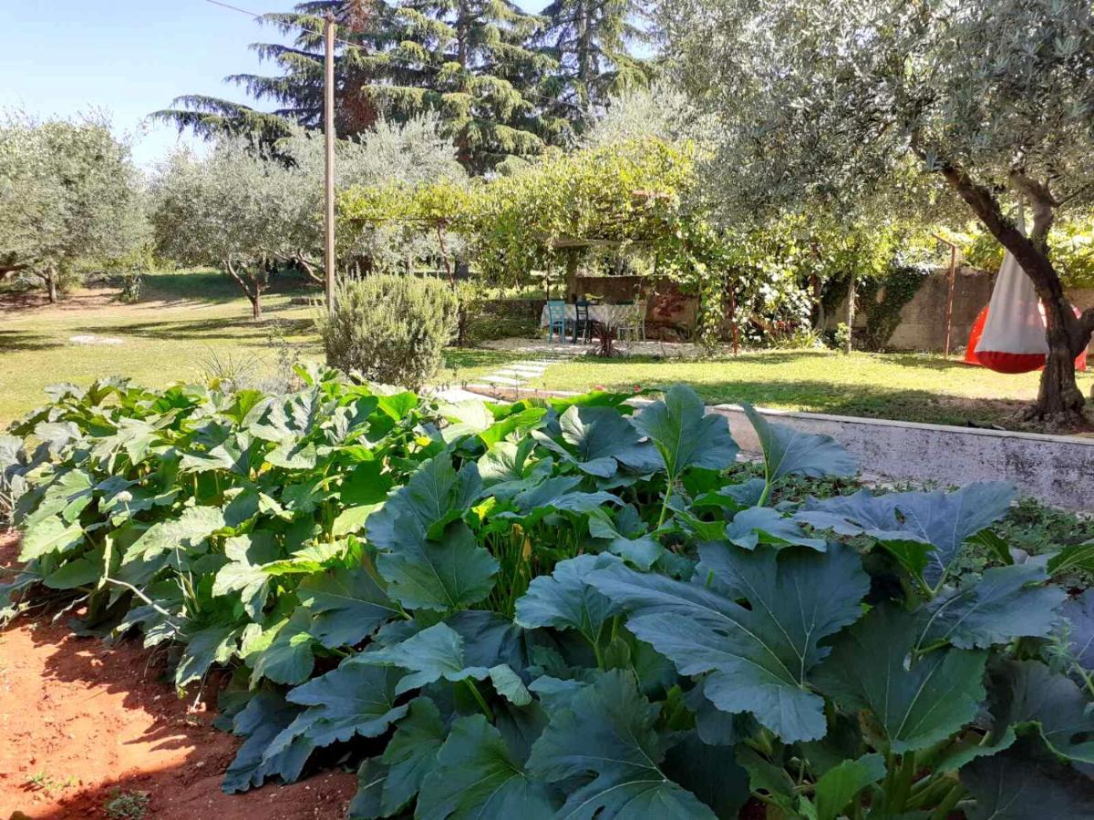 Apartman Bowie&Apartment Morgan Poreč Zewnętrze zdjęcie