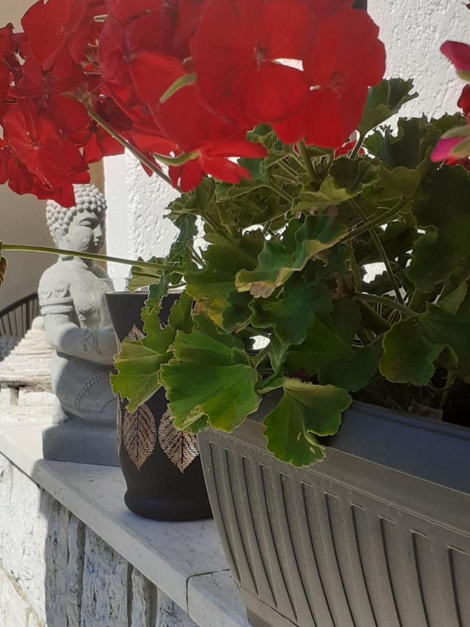 Apartman Bowie&Apartment Morgan Poreč Zewnętrze zdjęcie